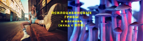 таблы Аркадак
