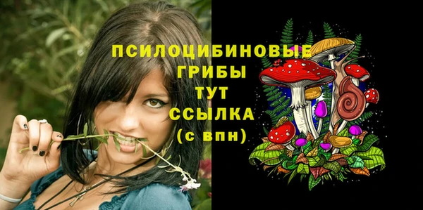 jwh Арсеньев