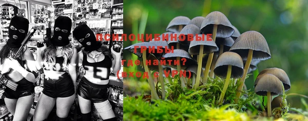 таблы Аркадак