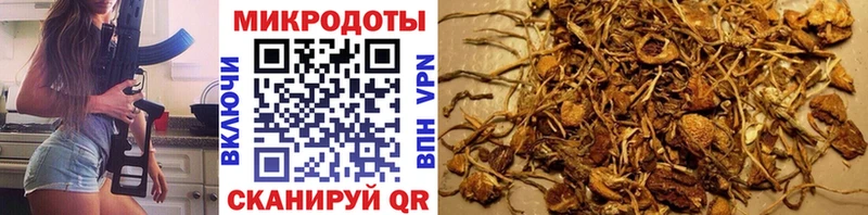 ссылка на мегу зеркало  Бирск  Галлюциногенные грибы Psilocybine cubensis 
